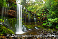 Russell Falls Tasmania Photo - Gary Bell