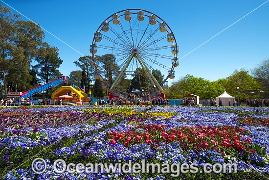 Floriade Festival Canberra photo