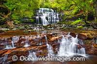 Liffey Falls Tasmania Photo - Gary Bell