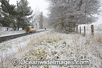 Country road in snow Photo - Gary Bell