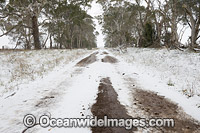 Country road NSW Photo - Gary Bell