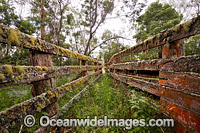 Old timber stockyard fence Photo - Gary Bell