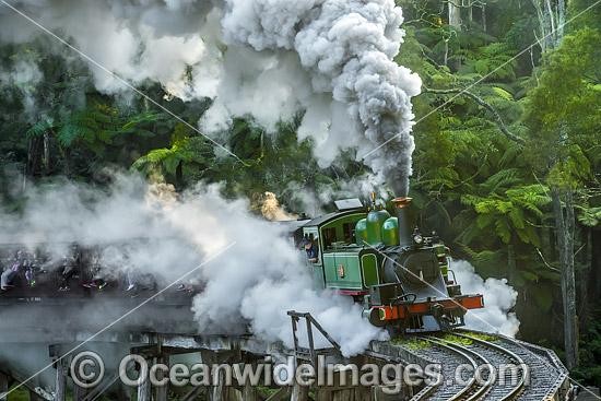 Puffing Billy Belgrave photo