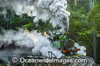 Puffing Billy Belgrave Photo - Gary Bell