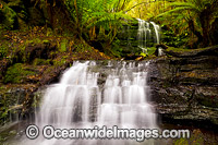 Cascade Falls Mt Wellington Photo - Gary Bell