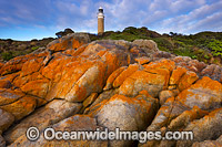 Eddystone Point lighthouse Photo - Gary Bell