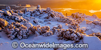 Mount Wellington at sunrise Photo - Gary Bell
