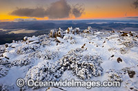 Mount Wellington Tasmania Photo - Gary Bell