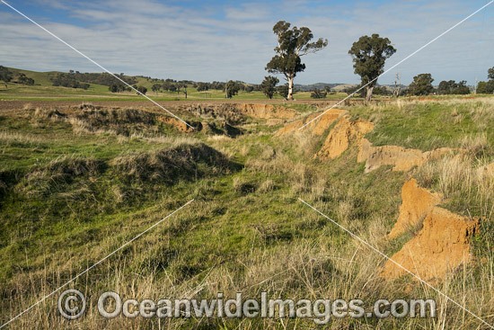 Erosion Farmland Australia photo