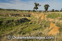 Erosion Farmland Australia Photo - Gary Bell