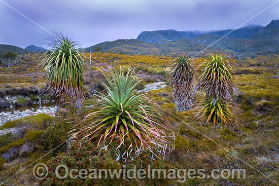 Cradle Mountain Tasmania photo