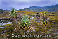Cradle Mountain Tasmania Photo - Gary Bell
