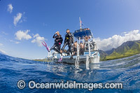 Scuba diver in Hawaii Photo - David Fleetham