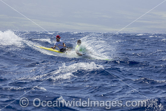 Canoe and Kayak race Hawaii photo