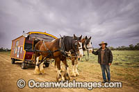 Horse drawn wagon Menindee Photo - Gary Bell