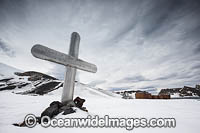 Grave at Antarctica Photo - Chris & Monique Fallows