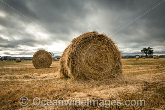 Hay Bales Colac NSW photo