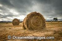 Hay Bales Colac NSW Photo - Gary Bell