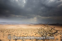 Namib Desert Photo - Chris and Monique Fallows