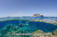 Scuba Diver ad Coral Reef Photo - Bob Halstead