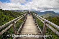 Dorrigo Rainforest Boardwalk Photo - Gary Bell