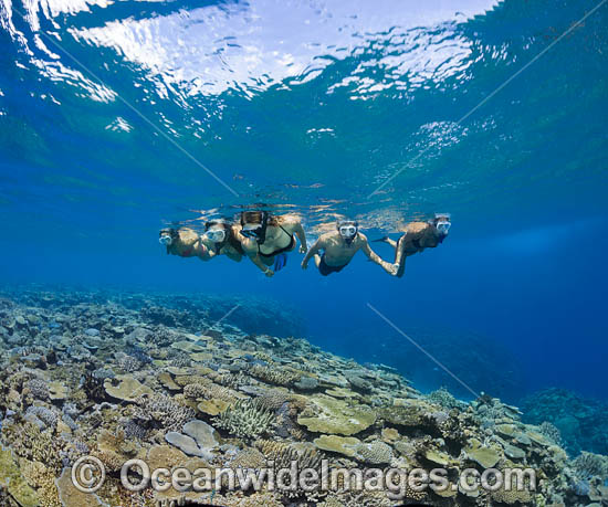 Snorkeling Fiji coral reef photo