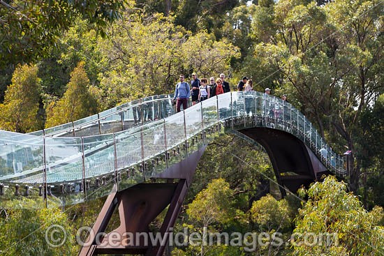 Glass Bridge Perth photo
