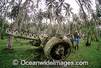 Wreck of World War II plane Photo - Gary Bell