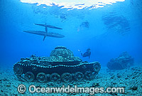 World War II Japanese tanks Photo - Gary Bell