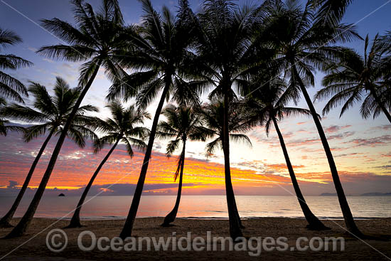 Cairns Palm Cove sunrise photo