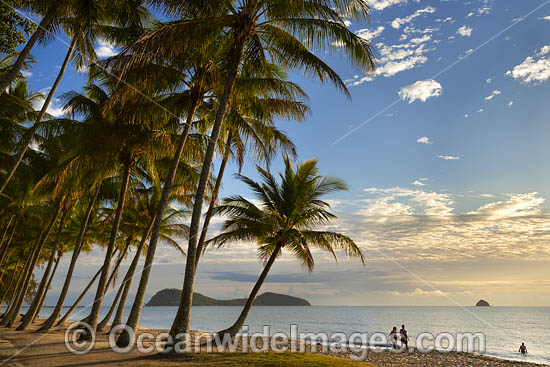 Cairns Palm Cove sunrise photo