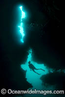 Diver in Cavern Photo - Gary Bell