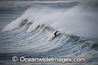 Surfer riding waves Photo - Gary Bell