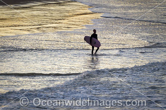 Surfer Crescent Head photo