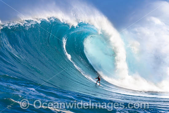Hawaii surfer photo