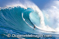 Hawaii surfer Photo - David Fleetham