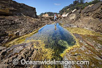Tidal Rock Pool Bermagui Photo - Gary Bell