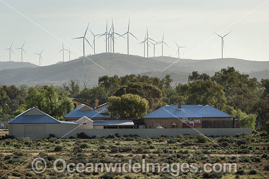 Silverton Wind Farm photo