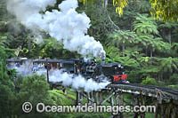 Puffing Billy Photo - Gary Bell