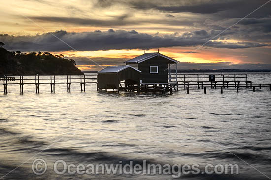 Sorrento Jetty Victoria photo