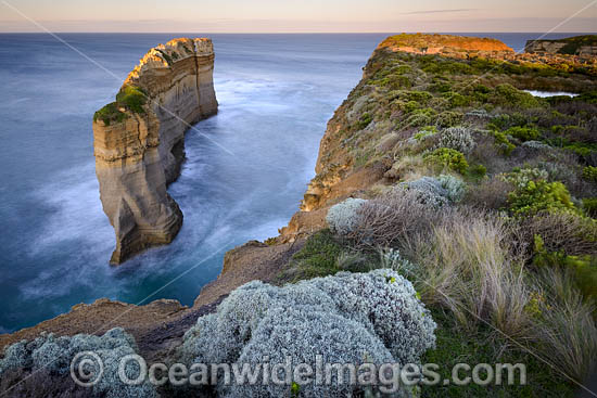 Razorback Port Campbell photo