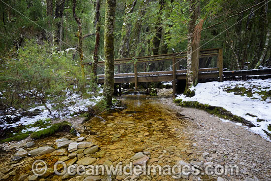 Cradle Mountain photo