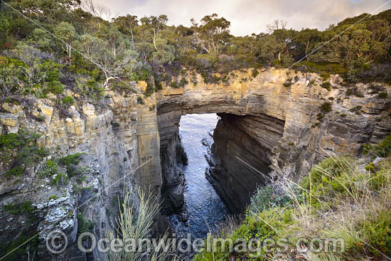 Tasmans Arch Tasmania photo