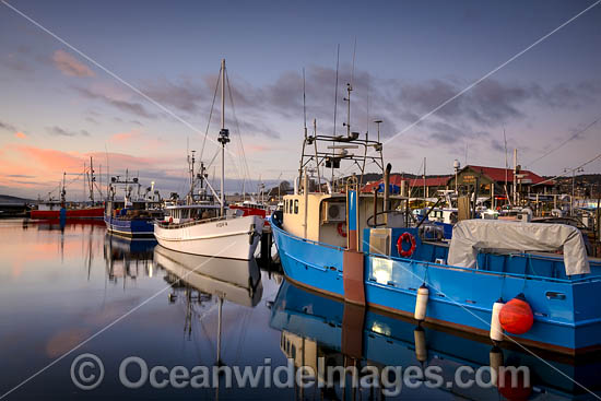 Constitution Dock Tasmania photo