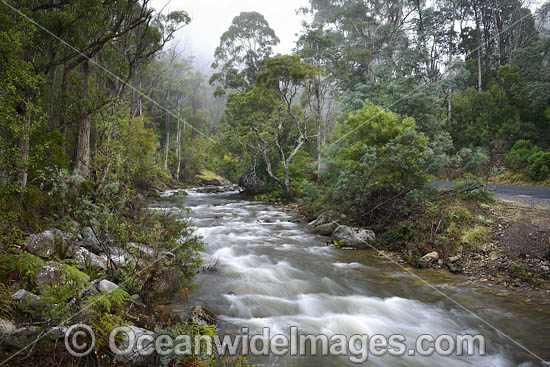 Cradle Mountain photo