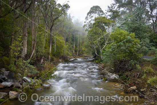 Cradle Mountain photo