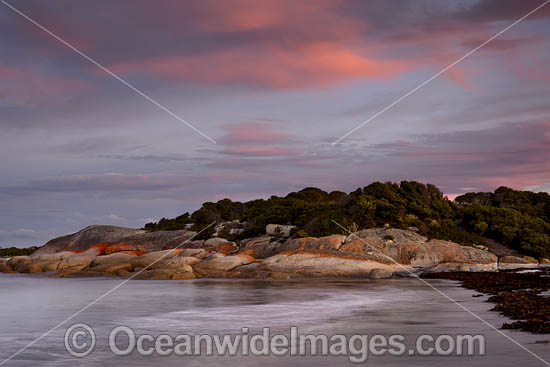 Mount William National Park photo