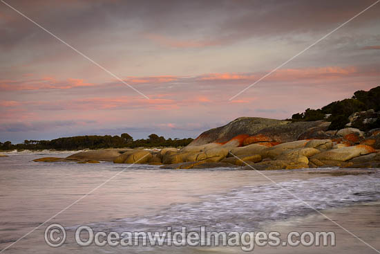 Mount William National Park photo