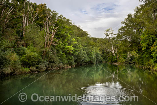 Orara River photo