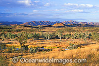 Eastern MacDonnell Ranges at sunset Photo - Gary Bell